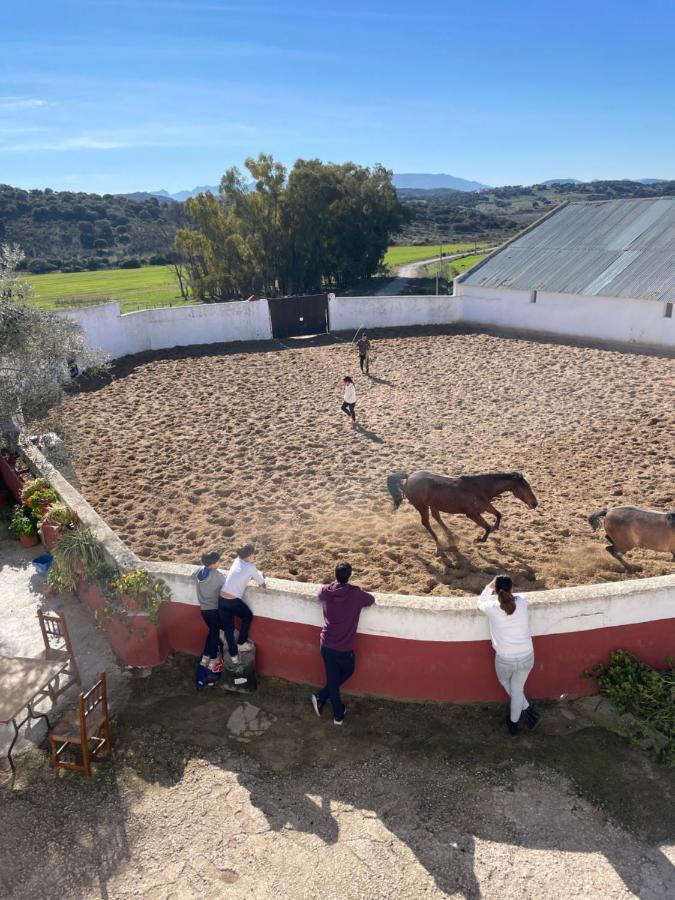 Casa Rural Finca De Las Encarnaciones Bajas Villanueva de San Juan Εξωτερικό φωτογραφία