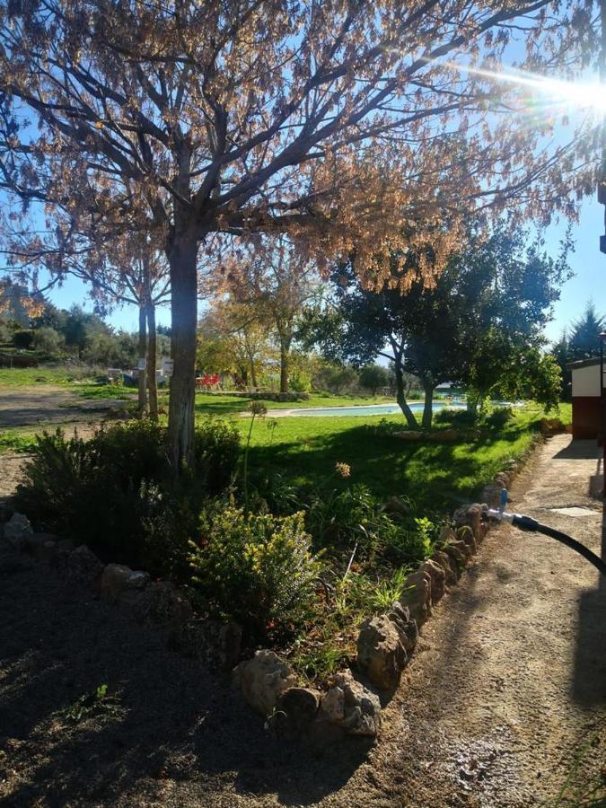 Casa Rural Finca De Las Encarnaciones Bajas Villanueva de San Juan Εξωτερικό φωτογραφία