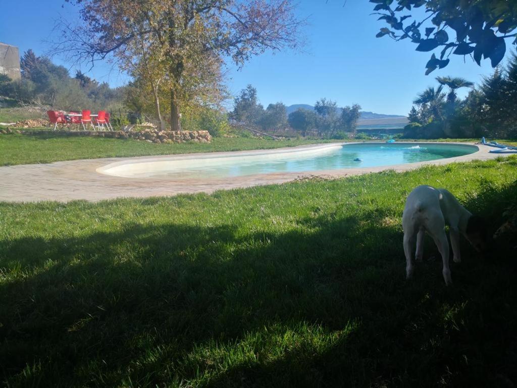 Casa Rural Finca De Las Encarnaciones Bajas Villanueva de San Juan Εξωτερικό φωτογραφία
