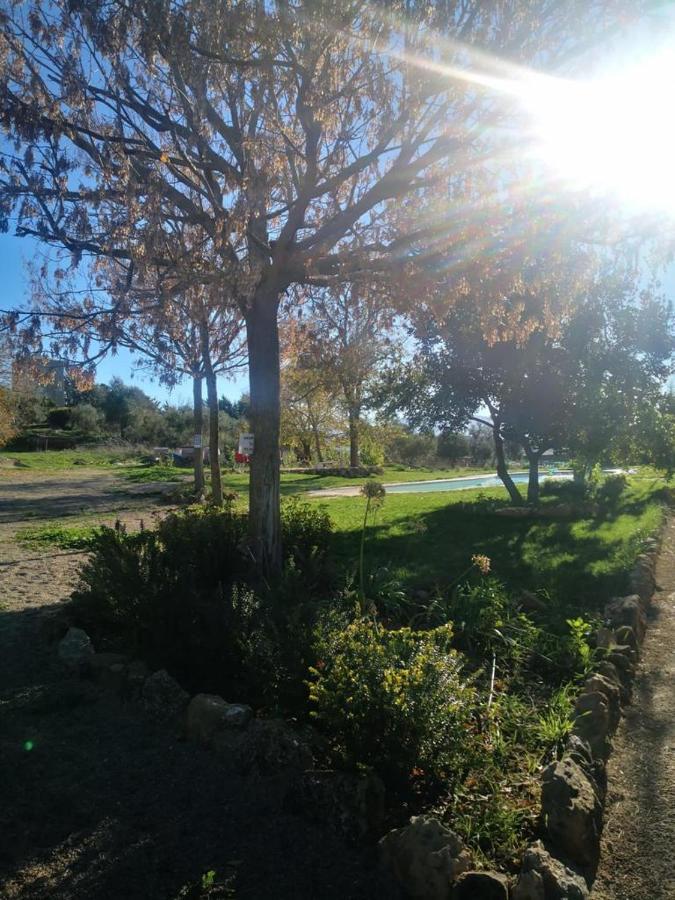 Casa Rural Finca De Las Encarnaciones Bajas Villanueva de San Juan Εξωτερικό φωτογραφία